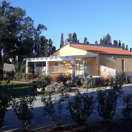 Azienda Agricola I Peperoncini アルゲーロ エクステリア 写真